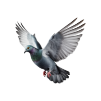 ai généré en volant Pigeon isolé sur transparent Contexte png