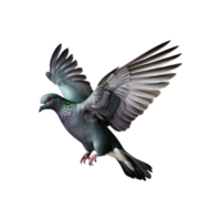 ai généré en volant Pigeon isolé sur transparent Contexte png