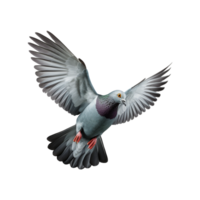 ai généré en volant Pigeon isolé sur transparent Contexte png