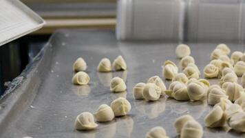 gerade fertig Knödel fliegen von Tablett zu Tisch. fliegend Knödel im schleppend Bewegung. Sieden von ein Knödel im schleppend Bewegung. Fleisch Knödel sind Sein fallen gelassen zu ein Tablett welche ist gelegen im ein Container video