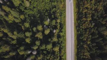 Flying over the beautiful forest trees and road. Shot. Aerial View. Car on a winding road in the hills. Aerial camera shot. Landscape panorama. Aerial view flying over old patched two lane forest road video