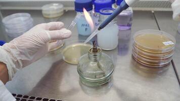 Bunsen Burner flame test in the science laboratory. Clip. Flaming a tube in the microbiology laboratory video