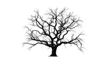AI generated Tree silhouette cut out. Tree on transparent background. png