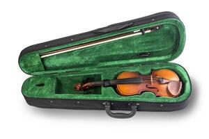 violin in the case of green photo