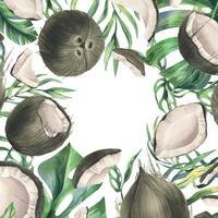 cocos entero, mitades y piezas con brillante, verde, tropical palma hojas. mano dibujado acuarela ilustración. marco, plantilla, blanco aislado desde el antecedentes vector