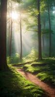 AI generated Enchanting Forest Glade with Sunlight Filtering Through Trees photo