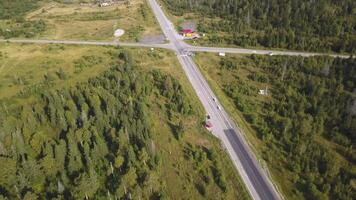 aéreo ver desde encima de país la carretera mediante el verde verano bosque en verano. disparo. coche conduciendo. alto ángulo ver de un la carretera canal el bosque a el puesta de sol con Copiar espacio. parte superior ver de asfalto la carretera video