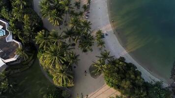 Küste von das klein Insel in der Nähe von das Äquator Linie mit wunderschön Wald entlang das Ufer und Blau Wasser. Schuss. Seelandschaft von ein klein schön Insel im das Meer mit Palme Bäume und Felsen video