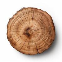 AI generated Old piece of tree stump isolated on white background photo