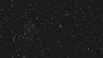 White dust particles moving slowly in space on black background. Abstract particle moving background. Slow motion macro dust particles explosive flow over black background video