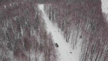 aérien vue de réservoir conduite par le hiver forêt. bataille réservoir dans le forêt. réservoir en dessous de le neige video