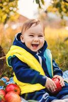 Sweet young boy outdoor with apples. Little cute child outdoor in the garden. photo