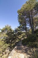 paisajes y caminos de el hermosa naturaleza de el sierra Delaware cazorla, jaén, España. naturaleza vacaciones concepto. foto