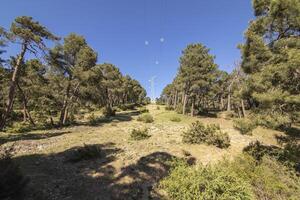 Landscapes and trails of the beautiful nature of the Sierra de Cazorla, Jaen, Spain. Nature vacation concept. photo