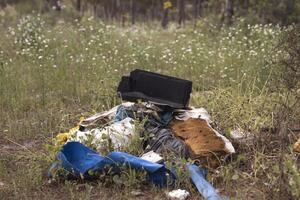 basura en naturaleza, en un pino bosque. Doméstico contaminación es convirtiéndose más grave, con un superpoblación. foto