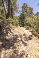 Landscapes and trails of the beautiful nature of the Sierra de Cazorla, Jaen, Spain. Nature vacation concept. photo