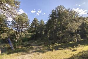 Landscapes and trails of the beautiful nature of the Sierra de Cazorla, Jaen, Spain. Nature vacation concept. photo