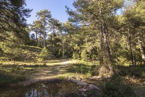 Landscapes and trails of the beautiful nature of the Sierra de Cazorla, Jaen, Spain. Nature vacation concept. photo