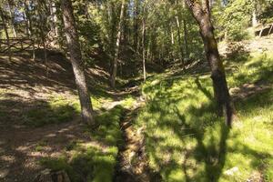 Landscapes and trails of the beautiful nature of the Sierra de Cazorla, Jaen, Spain. Nature vacation concept. photo