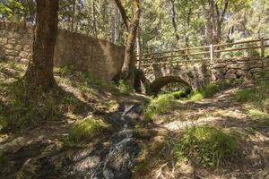 Landscapes and trails of the beautiful nature of the Sierra de Cazorla, Jaen, Spain. Nature vacation concept. photo