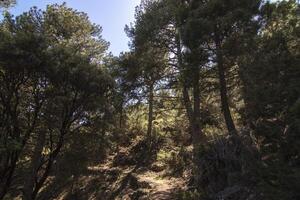 Landscapes and trails of the beautiful nature of the Sierra de Cazorla, Jaen, Spain. Nature vacation concept. photo