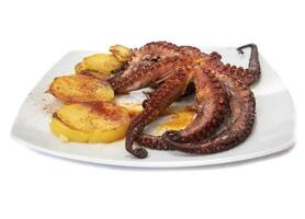 Potatoes with grilled octopus, isolated on a background. photo