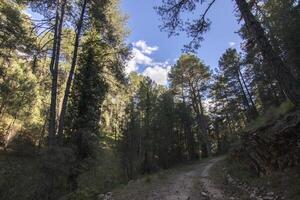 Landscapes and trails of the beautiful nature of the Sierra de Cazorla, Jaen, Spain. Nature vacation concept. photo