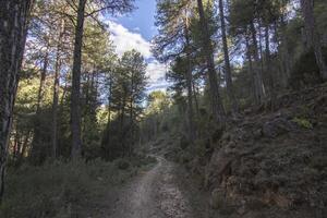 Landscapes and trails of the beautiful nature of the Sierra de Cazorla, Jaen, Spain. Nature vacation concept. photo