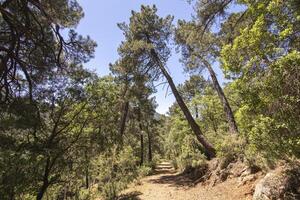 Landscapes and trails of the beautiful nature of the Sierra de Cazorla, Jaen, Spain. Nature vacation concept. photo