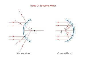 Spherical mirror.  Curved reflective surface, convex mirror and concave mirror. Physics illustration. vector