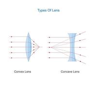 Types of lens. convex and concave lens. physics vector illustration.