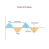 Waves consist of crests and troughs, representing the highest and lowest points, with wavelength as the distance between successive crests or troughs. vector