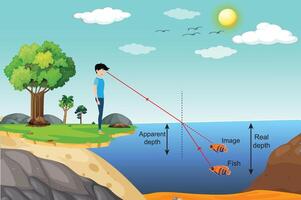 Refraction of light. vector