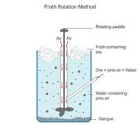 Froth flotation, a mineral separation technique, relies on the selective attachment of air bubbles to hydrophobic particles, lifting them to the surface for collection. Metallurgy concept. vector