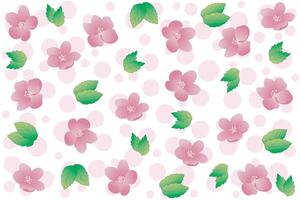 Illustration, wallpaper of cherry blossom flower with leaf and circle on white background. vector