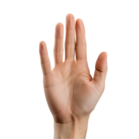 ai generiert Hand angehoben auf transparent Hintergrund png Bild