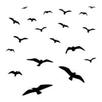 birds circling in the sky, black vector