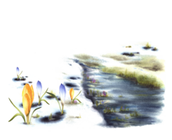 Watercolor landscape arrival of spring Primary plants flowers, melting snow, current stream, the first grass breaking through the snow. Easter, spring card Hand drawn  clipart background png
