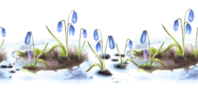 acuarela pintura primario flores ilustración llegada de primavera sin costura patrón, frontera derritiendo nieve paisaje azul esquilas, cebolla albarrana campanillas flores brotante mediante el nieve antecedentes png