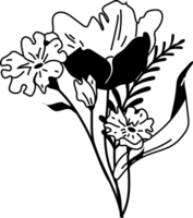 línea Arte de ramos de flores de moda botánico elementos. salvaje flores y hojas png