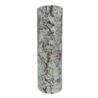 Wood log isolated on transparent png