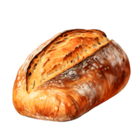 AI generated Sourdough bread water color hi quality isolated png