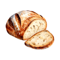 AI generated Sourdough bread water color hi quality isolated png