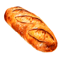 AI generated Baguette bread water color hi quality isolated png