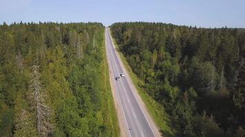 Flying over the beautiful forest trees and road. Shot. Aerial View. Car on a winding road in the hills. Aerial camera shot. Landscape panorama. Aerial view flying over old patched two lane forest road video