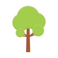 Vector flat design green type of tree on white background