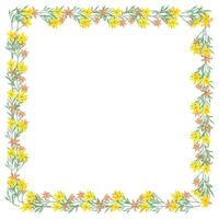 Vector hand drawn floral frame on white background