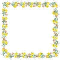 Vector hand drawn floral frame on white background