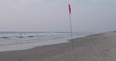 röd flagga på strand på hav eller hav som en symbol av fara. de hav stat är anses vara farlig och simning är förbjuden. video