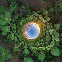 blue hole sphere little planet inside green grass round frame background photo